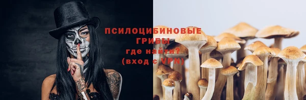 а пвп мука Пересвет