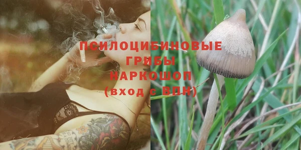 гидропоника Переславль-Залесский